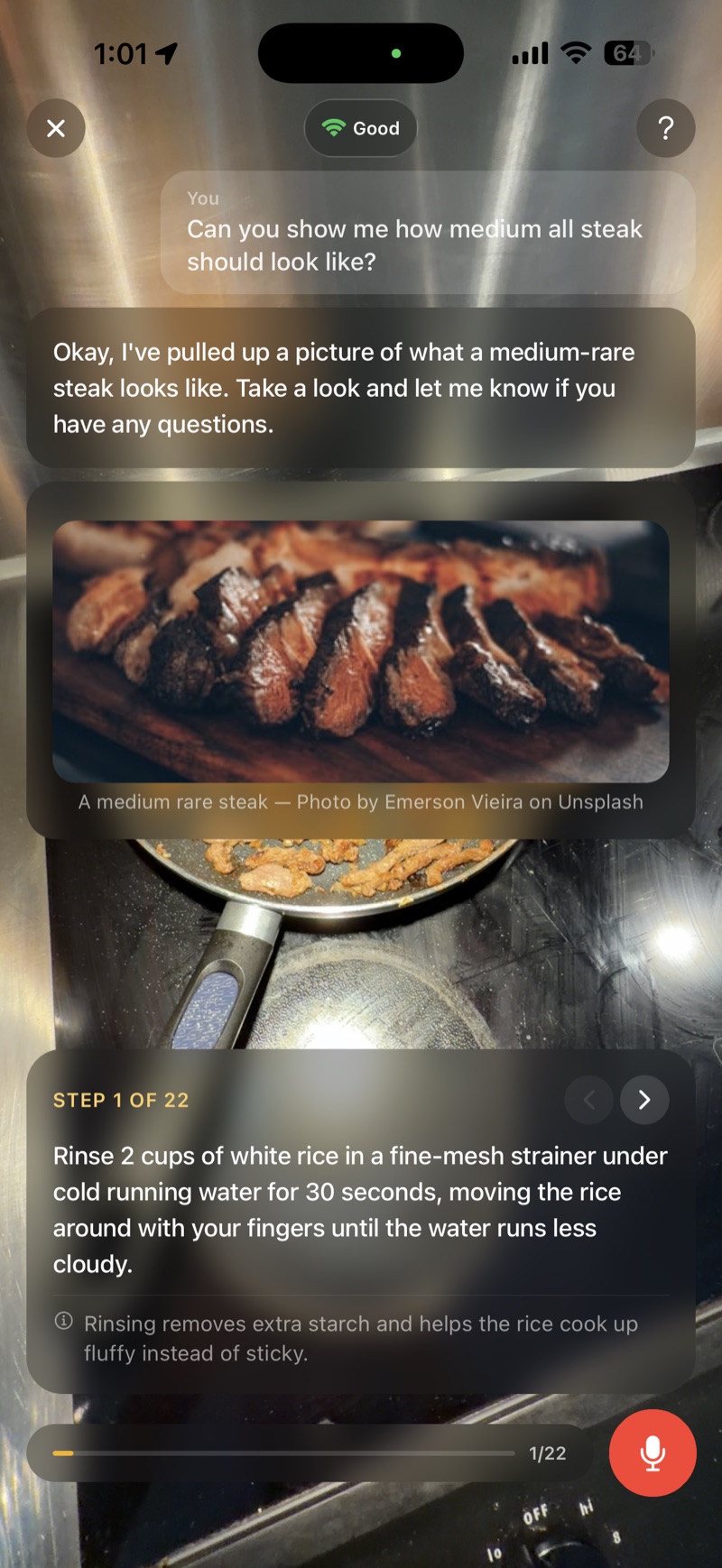 PlateBuddy pulls up a reference photo of medium-rare steak mid-session